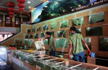 Een grote verscheidenheid aan levend zeevoedsel tentoongesteld in aquariums in een exclusief visrestaurant in Kota Kinabalu (Maleisië).
