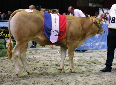 De kampioene van voorgaande jaren liet in de rubriek publiekslieveling Aurora van Ed en Marian Neerincx uit Elst achter zich.