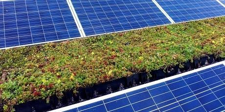-A1 Om te zorgen dat het water goed opgevangen wordt, willen we een solar-groen dak aanleggen.