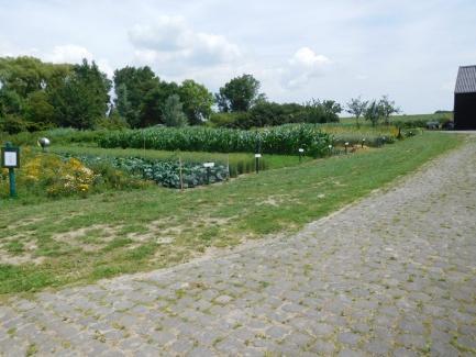 De gewassen zelf staan op ca 4 m van het pad. Het gras daartussen is nauwelijks of niet berijdbaar door rolstoelen. Voor elk plantvak staat een bordje met de naam van het gewas.