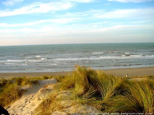 Voor de uitstap naar zee met de wagens gaan we naar Ter Duinen in Oostduinkerke. We vertrekken om 10 uur vanuit het woonzorgcentrum. We maken eerst een wandeling op het domein van Ter Duinen.