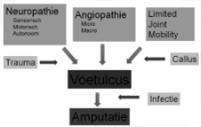 T: Tissue I: Infection M: Moisture E: Edge Inleiding: Care Cycle: de patiënt patiënt Geloof je oren niet!