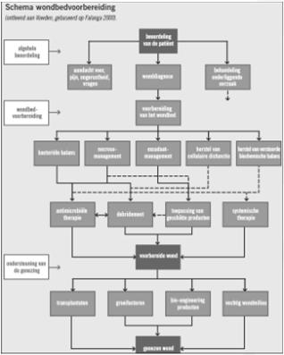 Inleiding: Care Cycle Wondbehandeling Wondbehandeling I T M E 1. Observeer 2. Optimaliseer onderliggende factoren 3.