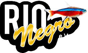 nl Aquariumvereniging Rio Negro uit Kleve (DLD) Rio Negro is een vrij jonge vereniging van aquariabezitters afkomstig uit Kleve en omgeving.