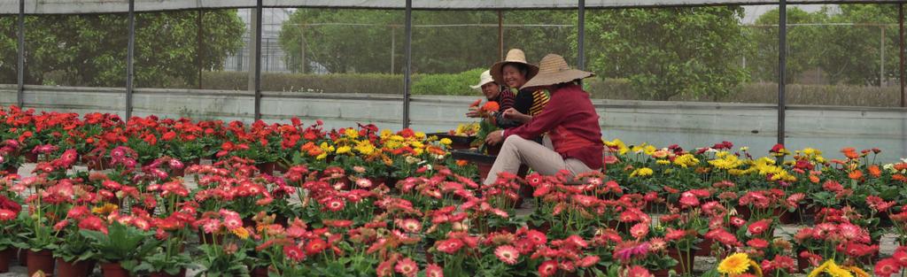 HortiMaX-Go! Cloudbox Ridder FertiMiX-Go! De HortiMaX-Go!