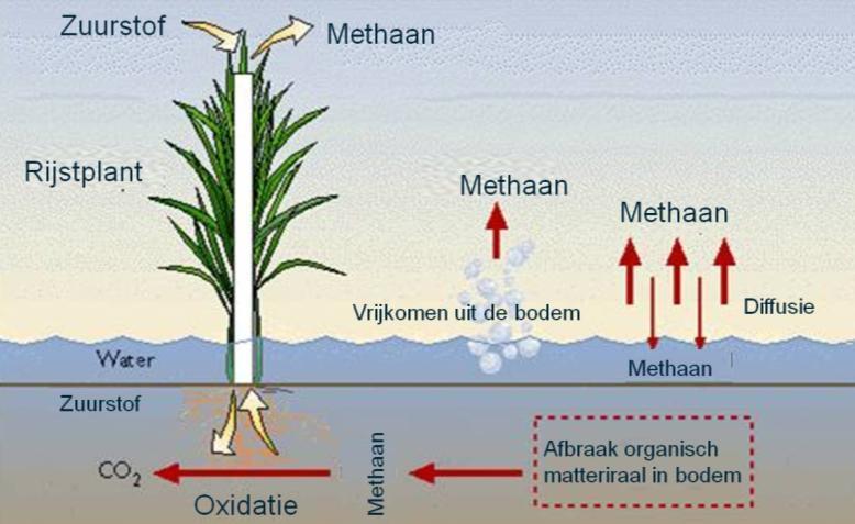 Mitigatie: reductie