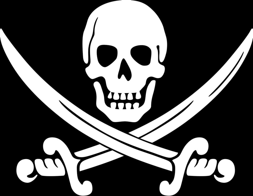 !!! Wij piraten zijn de beste zeemanslui die ooit op de zeven zeeën hebben gereisd.