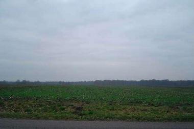 De lege containers worden naar de Vecht gereden. Daar worden ze tot zinken gebracht in deze rivier. Niemand die ze zal vinden. Nu zijn de mannen klaar.