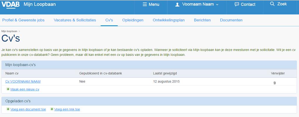 BIJLAGE 1 Je kan meerdere Cv s aanmaken en tevens documenten