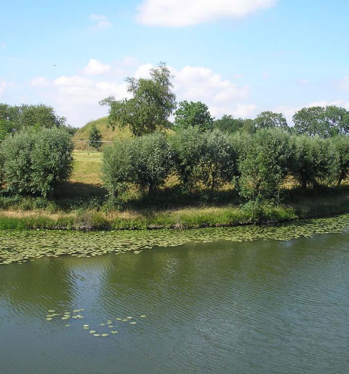 Beheer van beplantingen op verdedigingswerken 4 en linies S Vakkundig beheer Van een terreinbeheerder mag verwacht worden dat hij zijn gebied vakkundig beheerd.