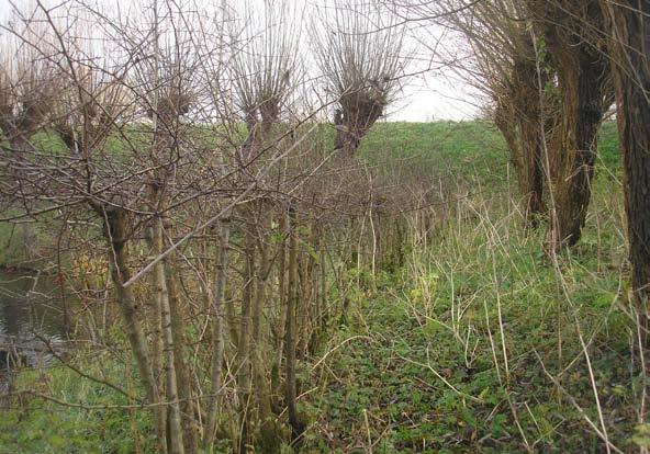 waarden opgenomen voor onkruidverwijdering en spitten: Juli en in september moeten het gras en onkruid tusschen het plantsoen tot den grond afgesneden, en moet de grond onder en langs de