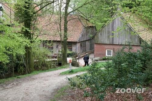 Schildpad van Losser: fragment van fossiele zeeschildpad met delen van rugschild, gevonden in voormalige groeve (steenfabriek) in Losser, circa 40 miljoen jaar oud, in 1961 verworven door Natura