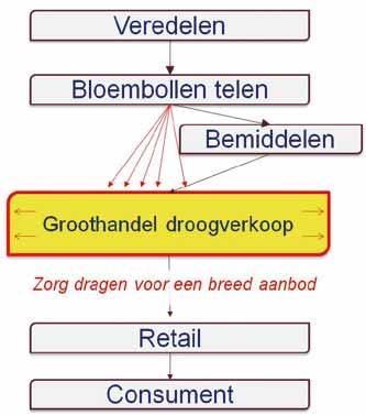 Business Business model model 2: 2: Differentiatie Differentiatie in in bollen bollen Dit business model is met name geschikt om gespecialiseerde retailers te bedienen die een breed assortiment van