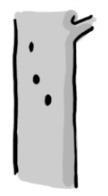 Saproxyle Beschrijving Type Code Illustraties Minstens drie broedholtes van spechten die in de stam verbonden
