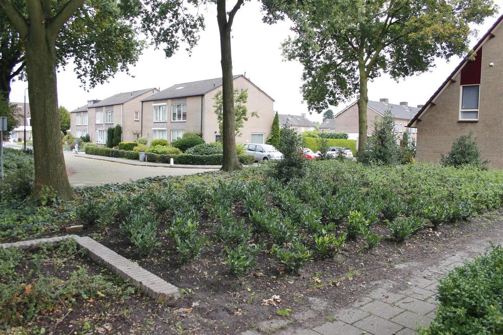 Schaijk en omgeving Schaijk is een gemoedelijk dorp in de gemeente Landerd. Schaijk is gelegen in het noordoosten van NoordBrabant en heeft vele sport en andere verenigingen. Schaijk telt circa 7.