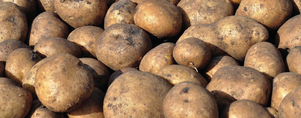 9% Proef met Agroleaf Power Doelstelling: De efficiëntie van Agroleaf Power bladmeststof vergelijken met de telerspraktijk in chipsaardappelen.