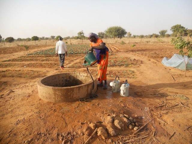 Coördinator Mamane Baraze en Schepen Tomas Sergooris geven uitleg bij de projecten en programma s in Kara Kara. de sfeer en ambiance waren geweldig; een zuiders Afrikaans feestje in het hart van Mol.