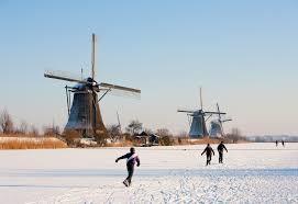 De koolzaadolie maakt de beschermlaag (wol,schild of dop) van de insecten weker, waardoor er meer pyrethrum binnendringt.