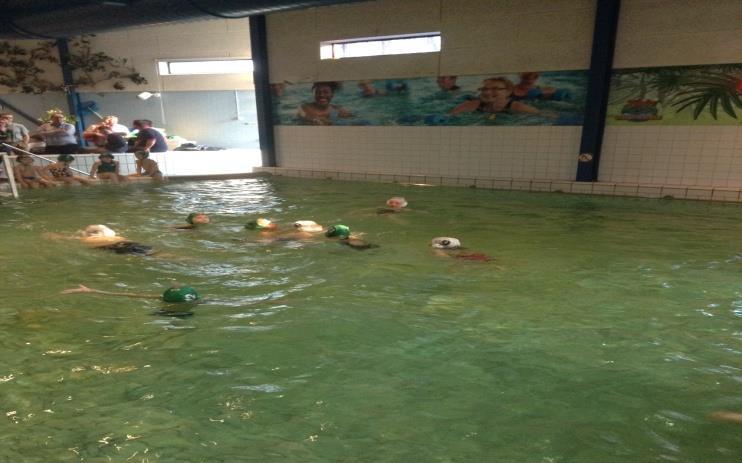 gevuld zwembad en tribune, deelgenomen aan het jaarlijkse minipolo toernooi. De uitnodiging voor dit toernooi is bedoeld voor kinderen die nog niet aan de reguliere waterpolocompetitie deelnemen.