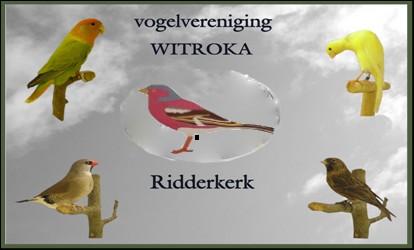 V.V. WITROKA RIDDERKERK Opgericht in