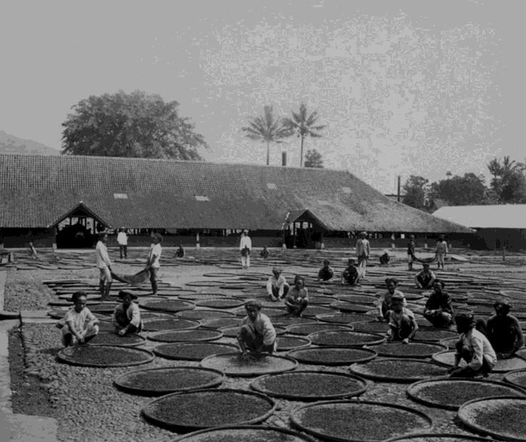 Thee-onderneming Parakan Salak, ten zuiden van Batavia op Java. Hier was de familie Van der Hucht vanaf 1844 actief in de thee. Verschillende leden van de familie Pen liggen hier begraven. Foto 1880.
