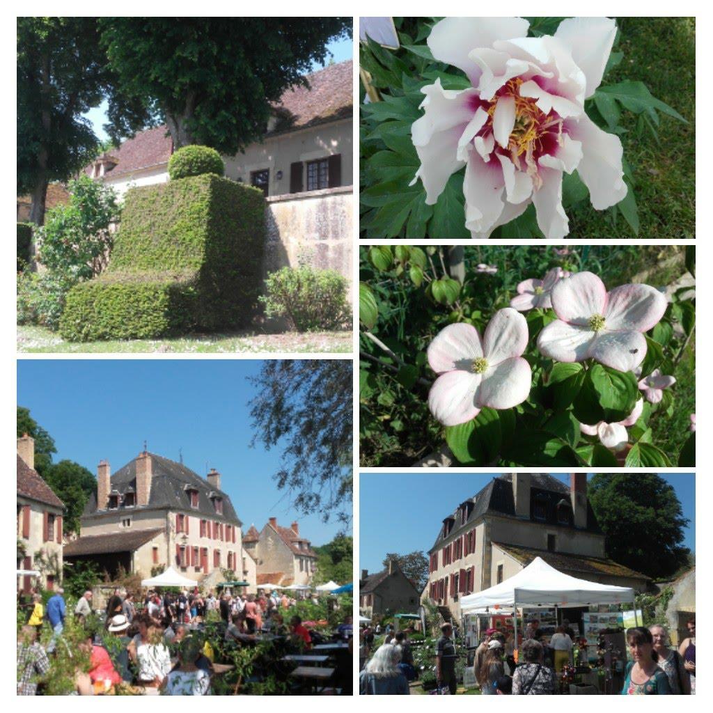 Met mijn buurvrouw Claire Rose bezoek ik de jaarlijkse bloemen markt in Apremont sur Allier.