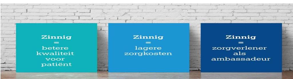 2.2 Zinnige Zorg