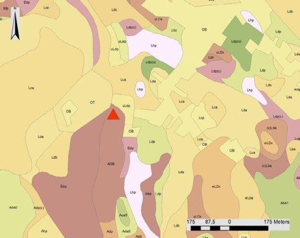 Fig. 6 Bodemkaart met aanduiding van de site (rode driehoek).