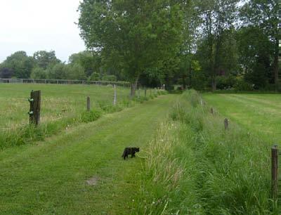 Belangrijke zichtlijnen vanuit het erf en landschap blijven behouden. typische weide afbakening wordt behouden.