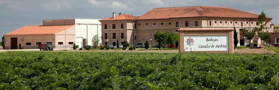 Castelo de Medina Bodegas Castelo de Medina werd opgericht in 1996 en heeft altijd zijn eigen wijngaarden gehad. Deze beslaan momenteel een oppervlakte van meer dan 180 hectare.