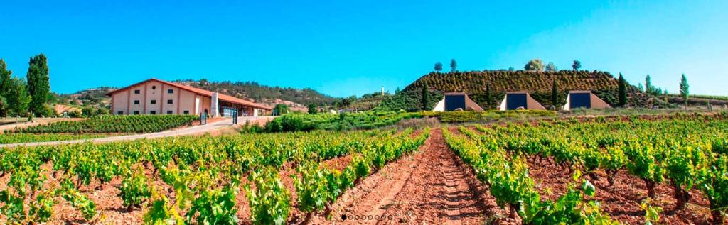 Bodegas y vinedos Valduero Valduero is een familiaal wijnhuis en één van de eersten die werd opgericht in de D.O.