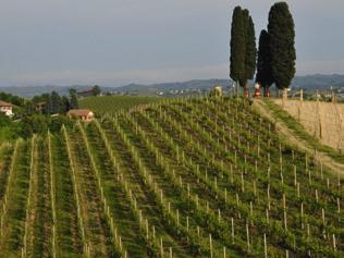 Op reis naar Italië Een Italiaan die alles heeft Monferrato D.O.C. Countacc! 2013 Michele Chiarlo Piemonte Italië Amai! Dat betekent de naam van deze wijn, en hij heeft die niet gestolen.
