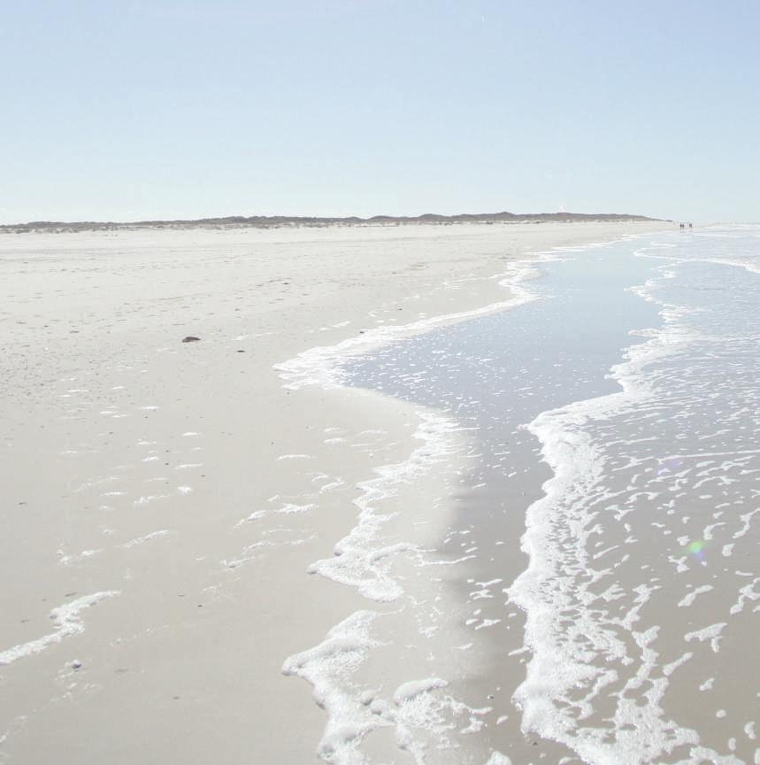 We leven allemaal aan de Waddenzee, een heel bijzonder leefgebied.