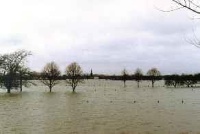 ROR in een notendop Waarom een Europese Richtlijn overstromingsrisico?