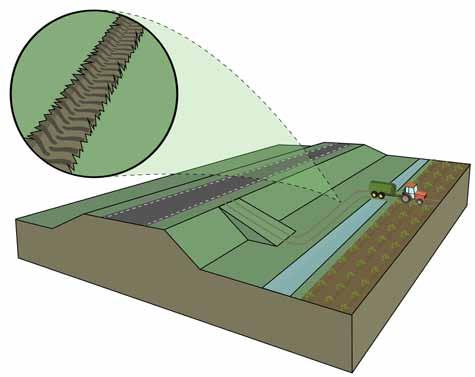De grasmat wordt gebruikt als toegangsweg naar een perceel.