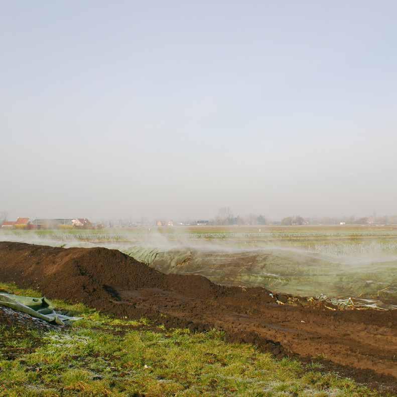 Koolstofopbouw in biologische teelten