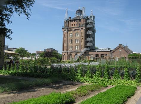 Afdeling Roosendaal organiseert in de Nationale Tuinweek deze bijzondere activiteiten voor u: ZONDAG 10 JUNI BEZOEK AAN DE MOESTUIN VAN VILLA AUGUSTUS IN DORDRECHT Tijdens het bezoek maken we kennis