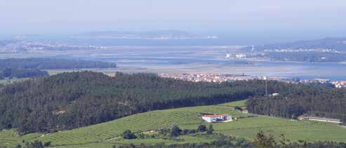 CASTILLA-LA-MANCHA / GALICIA CASTILLA-LA- MANCHA I GALICIA J JIMÉNEZ-LANDI, Méntrida I 20 jimenezlandi.com De familie Jiménez-Landi bezit 20 ha wijngaard o.a. in het Sierra de Gredos gedeelte van Méntrida, een DO van zo'n 5.