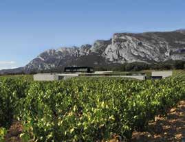 Oude stokken, lage rendementen en een nauwkeurige selectie van hout voor vaten geven moderne, verfijnde Rioja's. 'Pago Malarina' is de naam van een wijngaard.