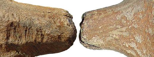 Niet alleen uit het laat-paleolithicum, maar ook uit het mesolithicum zijn gewei-werktuigen bekend die qua vorm min of meer vergelijkbaar zijn met het Wijnjewoude-object.