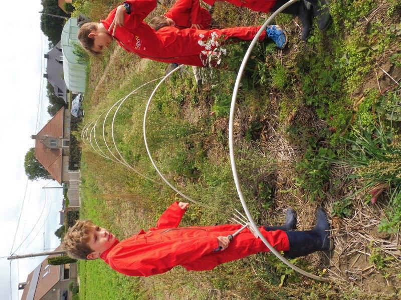 We moesten bijvoorbeeld de serre opkuisen, ajuinen oogsten