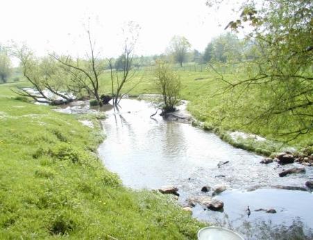 Visdoorgang met stroomversnellingen Een stenen