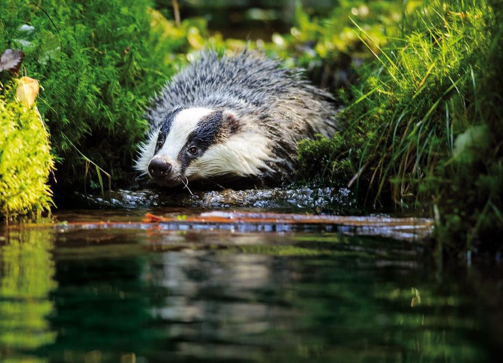 De duurzame revolutie is niet te stuiten In 2016 heeft IWE een aantal doelen gerealiseerd in het streven naar verdere verduurzaming van het waterzuiveringsproces.