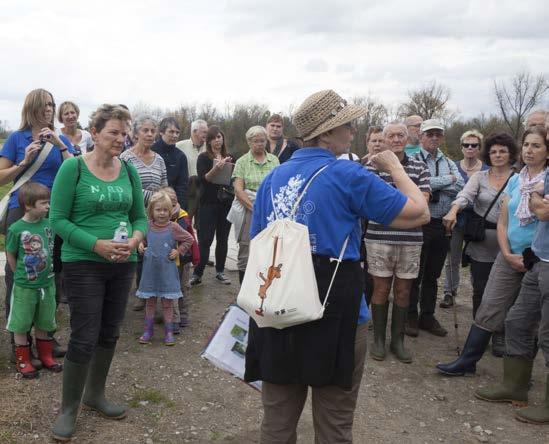 In de gebiedsdelen die onder invloed komen te staan van de getijdenwerking, worden de leidingen verlegd naar de hoger gelegen aangepaste leidingbermen langsheen de ringdijk.