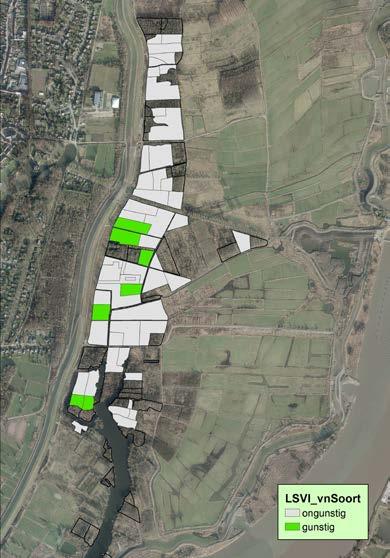 Groen: gunstig, grijs: ongunstig van de oppervlakte te weinig sleutelsoorten aanwezig en bovendien bedekken deze sleutelsoorten samen een te kleine oppervlakte.