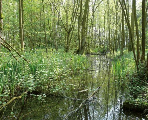 Het is een werk van vele trekkers: de Vlaamse overheid maar ook de gemeente, natuurvereniging Kruin, de landbouwers en niet te vergeten de gidsen en omwonenden.