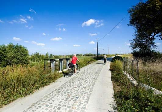 Qua verstoringsgraad scoren de bossen nu goed: exoten, verruiging en ruderalisering vormen geen probleem meer en ook de samenstelling van de boomlaag en de diversiteit van de diameter- en de