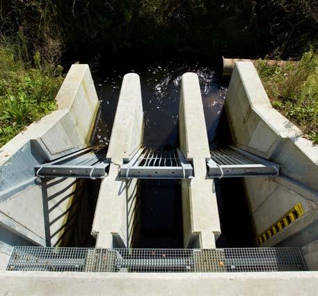 Het moet dus enerzijds voorzien in voldoende plas-dras-situaties en een hoge voorjaarsgrondwaterstand, anderzijds mag het gebied niet te nat worden omdat anders beweiding en maaiwerken bemoeilijkt