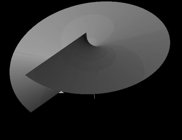 dipool. Voor de equipotentiaalvlakken is z uitgedrukt als re iθ ; r is weergegeven over de z-as en θ in de grijstint van het oppervlak.