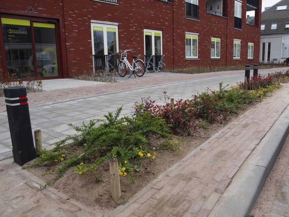 Invulling van het groen We laten een aantal goede bomen staan, er worden ook nieuwe bomen bijgeplant. Op de grond werken we met vaste planten die we in grotere, eenvormige blokken gaan aanleggen.